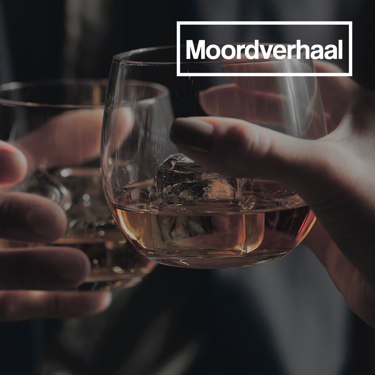 Moordspel | De borrel moord | 10 personen | Ontvang via de mail | Moordverhaal